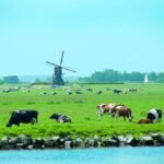 Landschaft in Holland