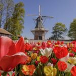 Keukenhof - Tulpenparadies in Holland