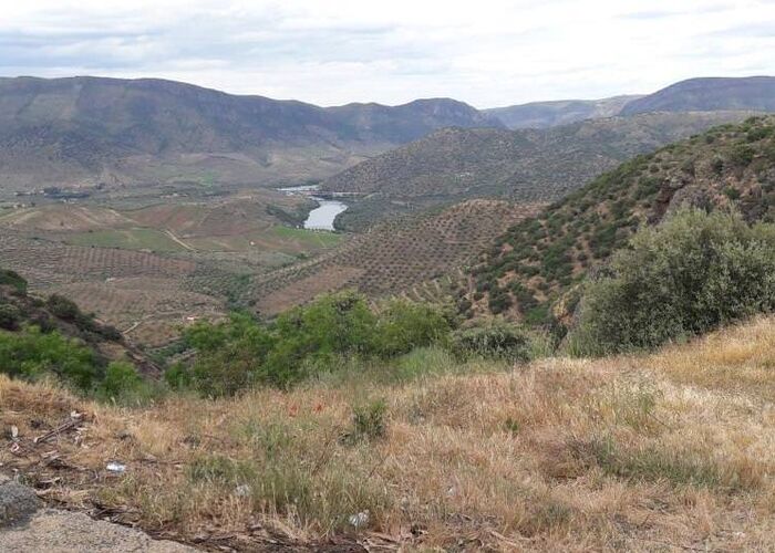 Landschaft am Douro